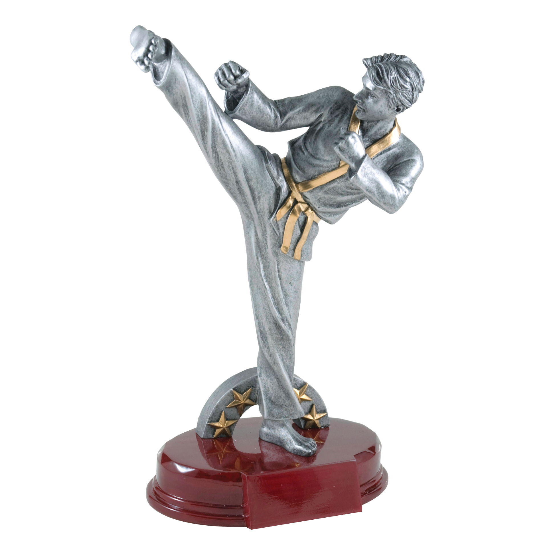 Karate Sculpture Award Male 9.25"