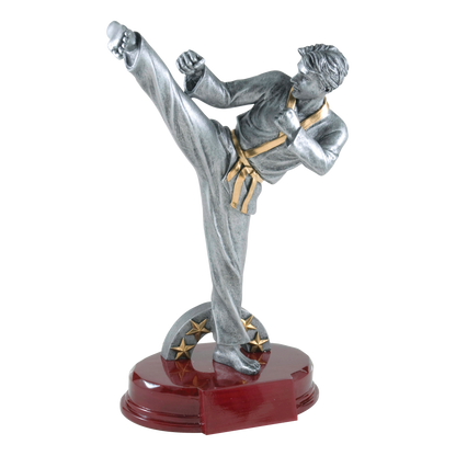 Karate Sculpture Award Male 9.25"