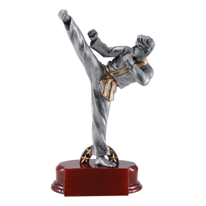 Karate Sculpture Award Male 7.25"