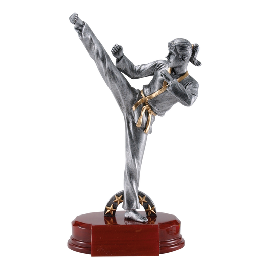 Karate Sculpture Award Female 8.5"
