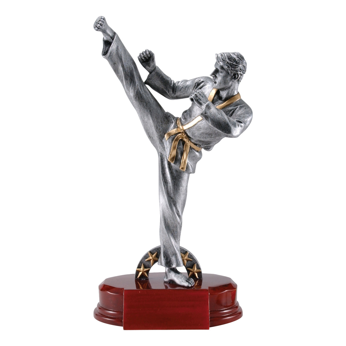 Karate Sculpture Award Male 9"