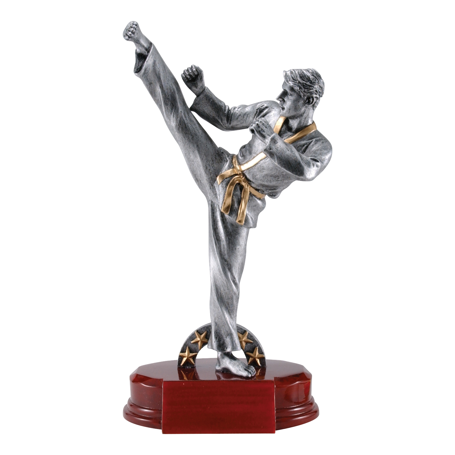 Karate Sculpture Award Male 9"