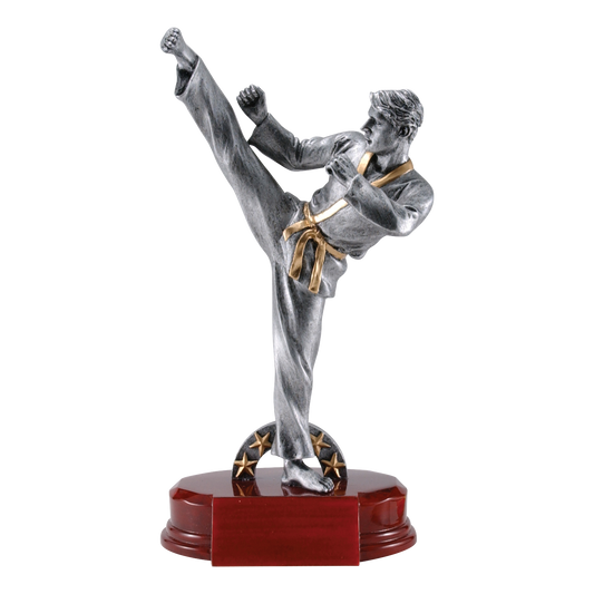 Karate Sculpture Award Male 9"