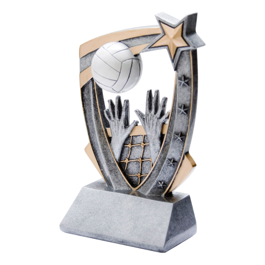 3D Star Volleyball Award 6"